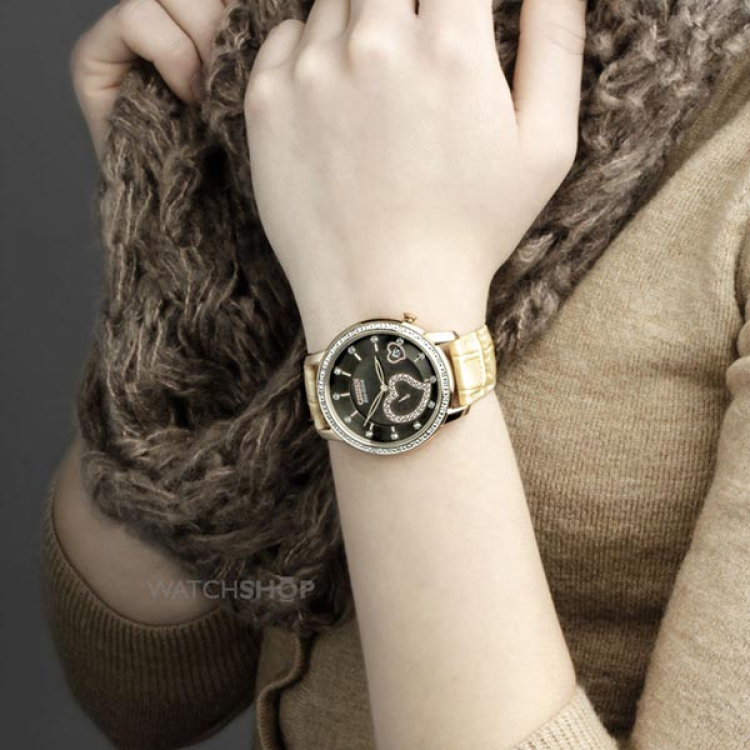 Citizen EV1003-09X
